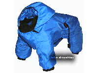 bitte darauf klicken